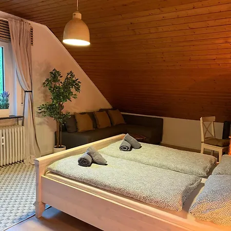 Holziges Dachgeschoss-apartment * 卡尔斯鲁厄