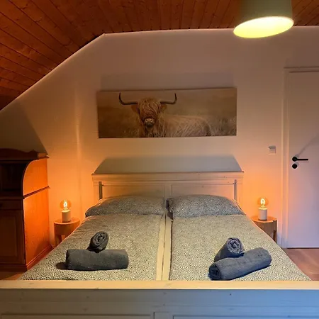 Appartement Holziges Dachgeschoss-apartment *