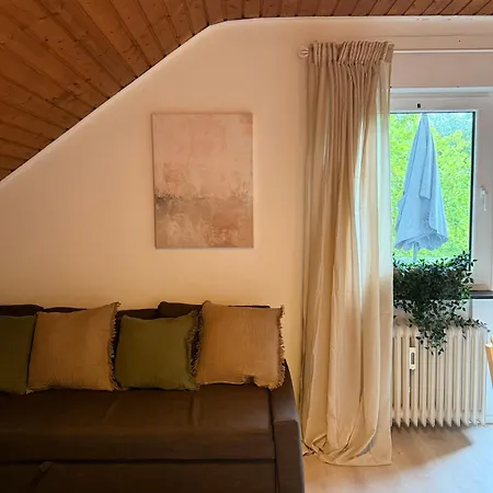 公寓 Holziges Dachgeschoss-apartment 卡尔斯鲁厄