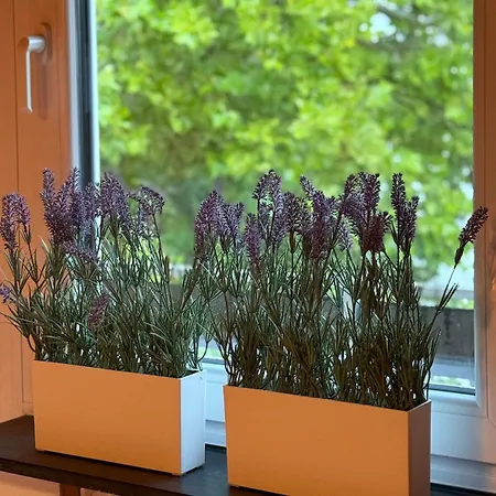 Apartment Holziges Dachgeschoss-apartment