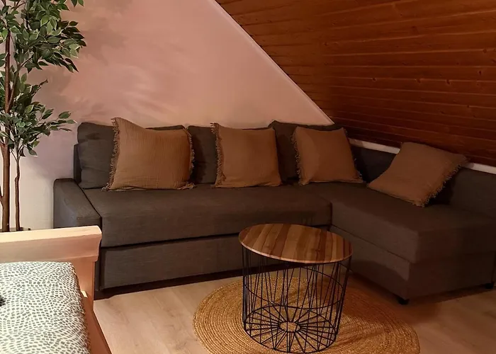 Holziges Dachgeschoss-apartment Appartement