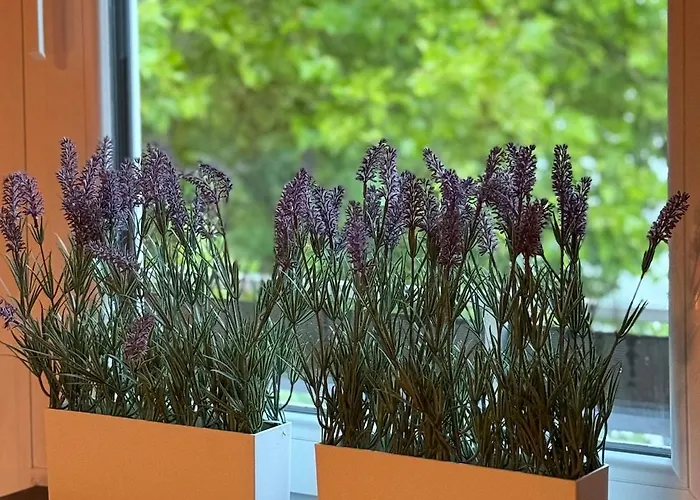 Appartement Holziges Dachgeschoss-apartment